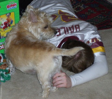 1993 Susan and care bear